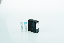 Fast Multiplex PCR Kit