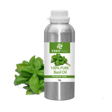 Natural Herb Essential Oil of Sweet Basil Oil Premium 100% pure Quality Basil Sweet Oil