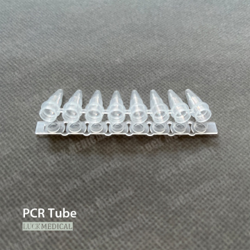 PCR-Rohr 8-Streifen mit angebrachten Kappen