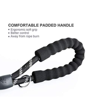 5 FT Strong Dog Leash