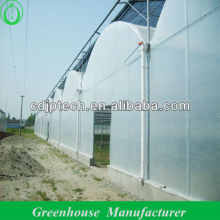 5000M2 plastic covered greenhouse