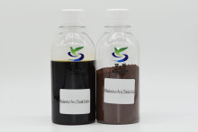 Polyaluminum Chloride for Water Purification Processes