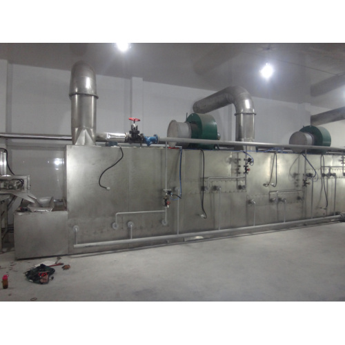 Stainless Steel Belt Dryer for Pleurotus eryngii mycelium