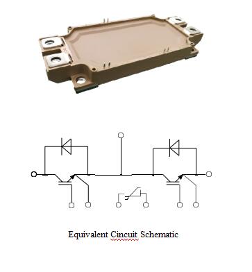 1200V IGBT Module 450A