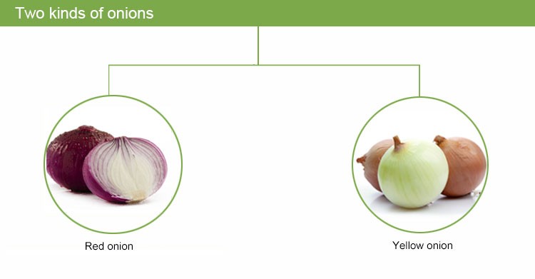 Market price for yellow onion