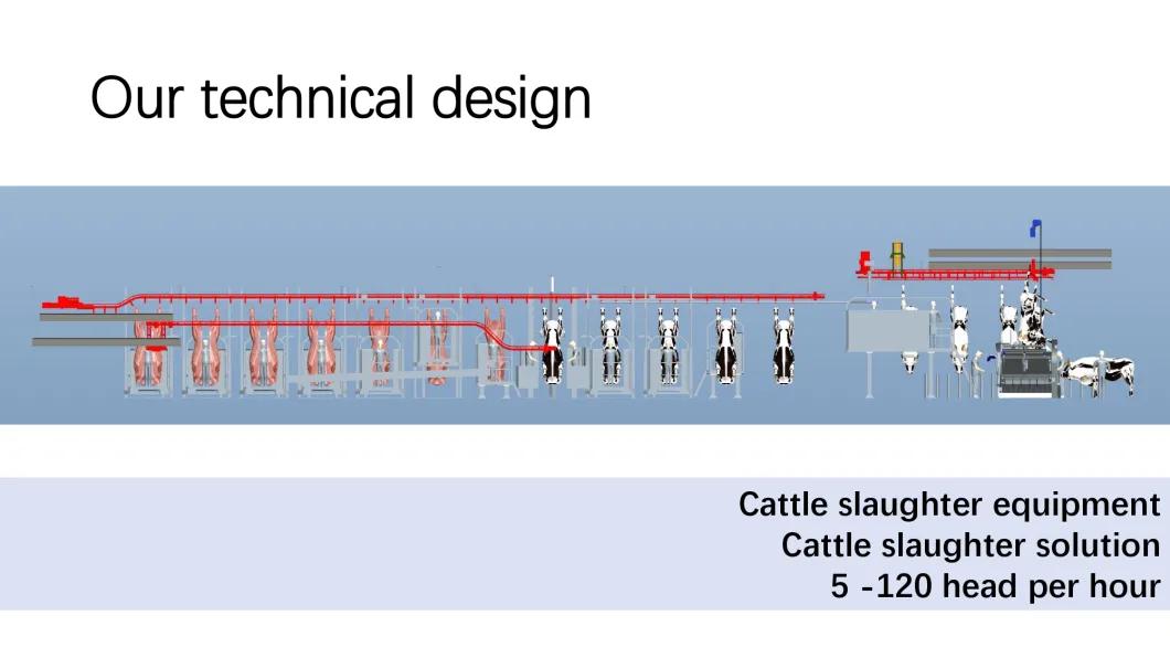 Cattle Slaughter Line for Slaughterhouse Halal