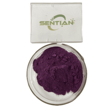 blackcurrant fruit juice powder blackcurrant powder