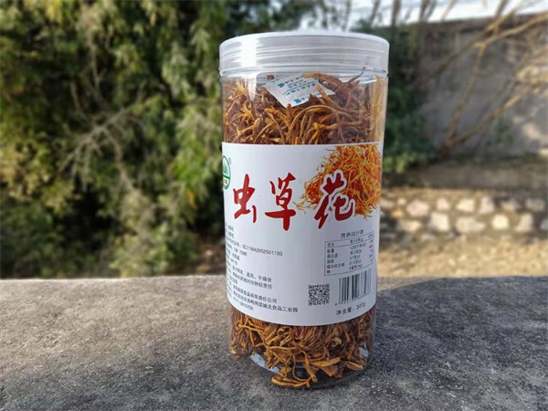 Canned Cordyceps flower