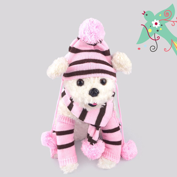 winter dog clothes