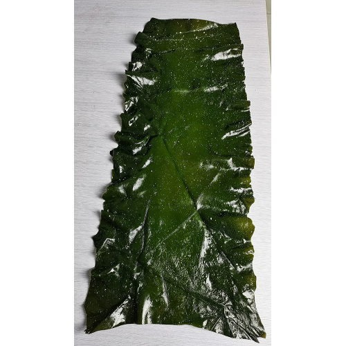 Planche de première coupe d&#39;algues végétales de varech