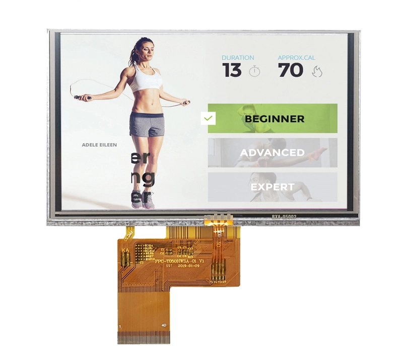 Ronen Rg-T050bph-01 Most Popular Products 5 Inch TFT LCD Industrial LCD Screen
