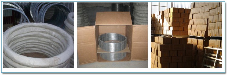 China Supply Best sale Flexible Razor Wire Mesh anti-theft razor barbed wire