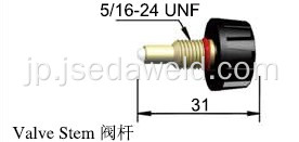 WP - 26 対 1 弁茎