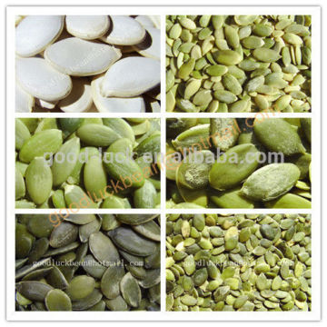 New Crop Snow White Pumpkin Seeds And Kernels
