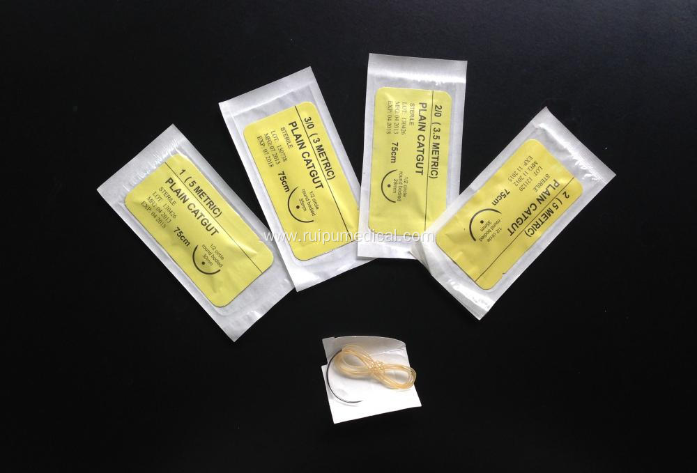 Absorbable Plain Catgut Surgical Sutures With Needle