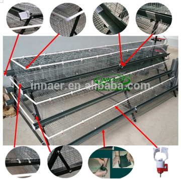 chicken cage for poultry farm for Nigeria