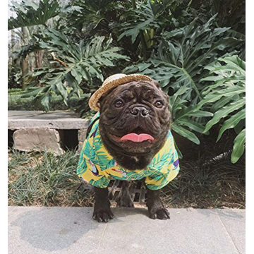 Hond Hawaiiaanse T-shirt kleding