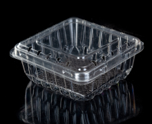 Clamshell Packaging Blueberry Container