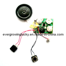 Greeting Card Programmable Sound Module