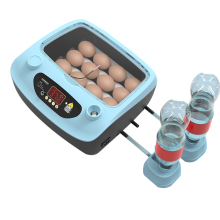 12Eggs Capacity Poultry Incubation Equipment: Small Chicken Egg Incubator