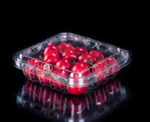 Custom PET Blueberry punnet