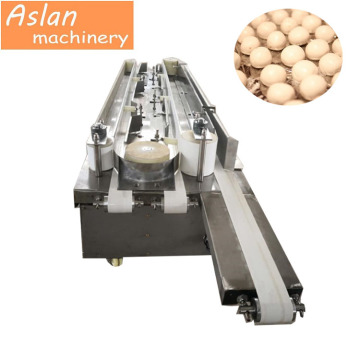 Bun Shaping Machine: Momo Bun and Bread Bun Former