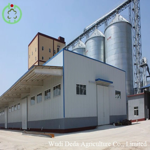 China Meat Bone Meal Factory Price Meat and Bone Meal