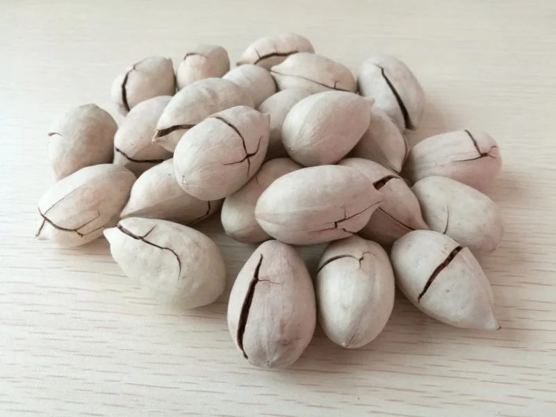 Hot Sale Bleached/Non-Bleached Pecan Nuts Small Walnut