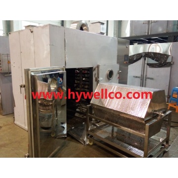 Fruit Slices Hot Air Circulating Oven