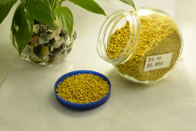 Birght Yellow Plastic Masterbatch