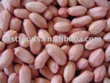 chinese good quality groundnut kernels 24/28.28/32.38/42