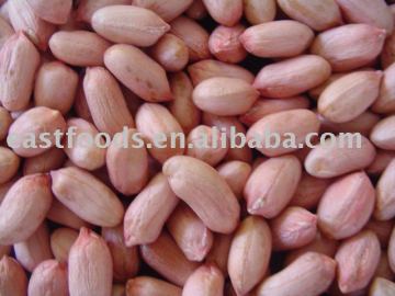 chinese good quality groundnut kernels 24/28.28/32.38/42