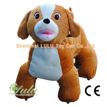 Ride Walking Animal dog