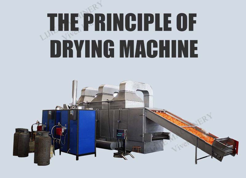 Fish Drying Machine