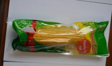 fresh whole sweet corn