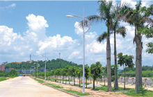 High Pressure Sodium Street Lamp