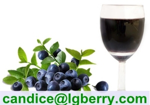 100% Natural blueberry juice concentrate