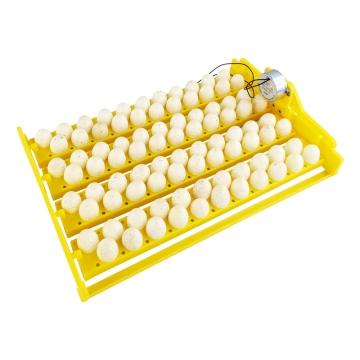 Full-automatic Bird Egg Incubator Plastic Egg Tray - Spare Parts