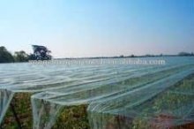 Agriculture Anti hail netting