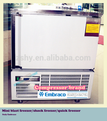 Mini Blast Freezer / shock freezer / quick freezer