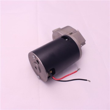 Single phase induction motor