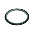 Piston Rod Seal GSI Sealing Ring