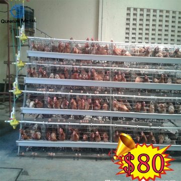 bird cage chandelier/cage bird trap