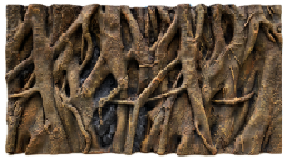 Rainforest Wind Background Board