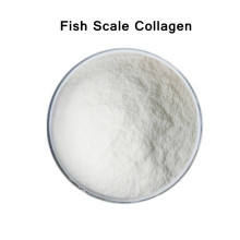Top Quality Healthcare Supplement Fish Scale Collagen Powder