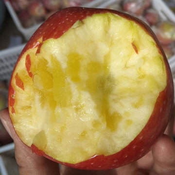 Rijke selenium groene organische appel