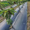 Greenhouse Garden Orchard Eco Weed Mat