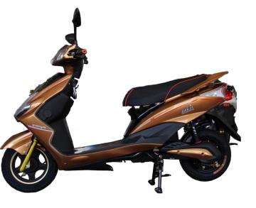 800w brushless disc brake electric scooter