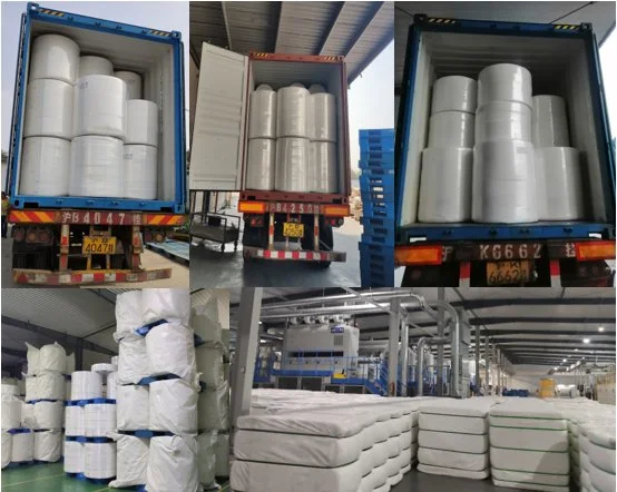 Hot Air Nonwoven Diaper Raw Material Top Sheet Back Sheet Hydrophilic and Hydrophobic Hot Air Through Nonwoven