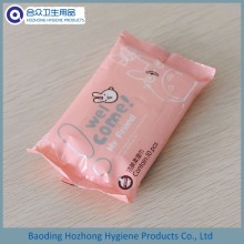 Portable Pack Sanitary Moist Wipes